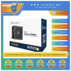 Silverstone TRITON 850RX Power Supply (850 Watts, 80plus Gold) 