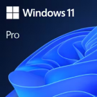 Microsoft Windows 11 Professional (OEM, Medialess)